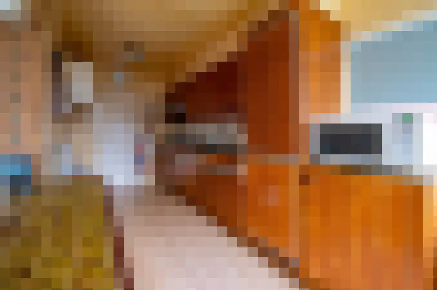 Pater van den Elsenstraat 12 Berkel-Enschot thumbnail 8
