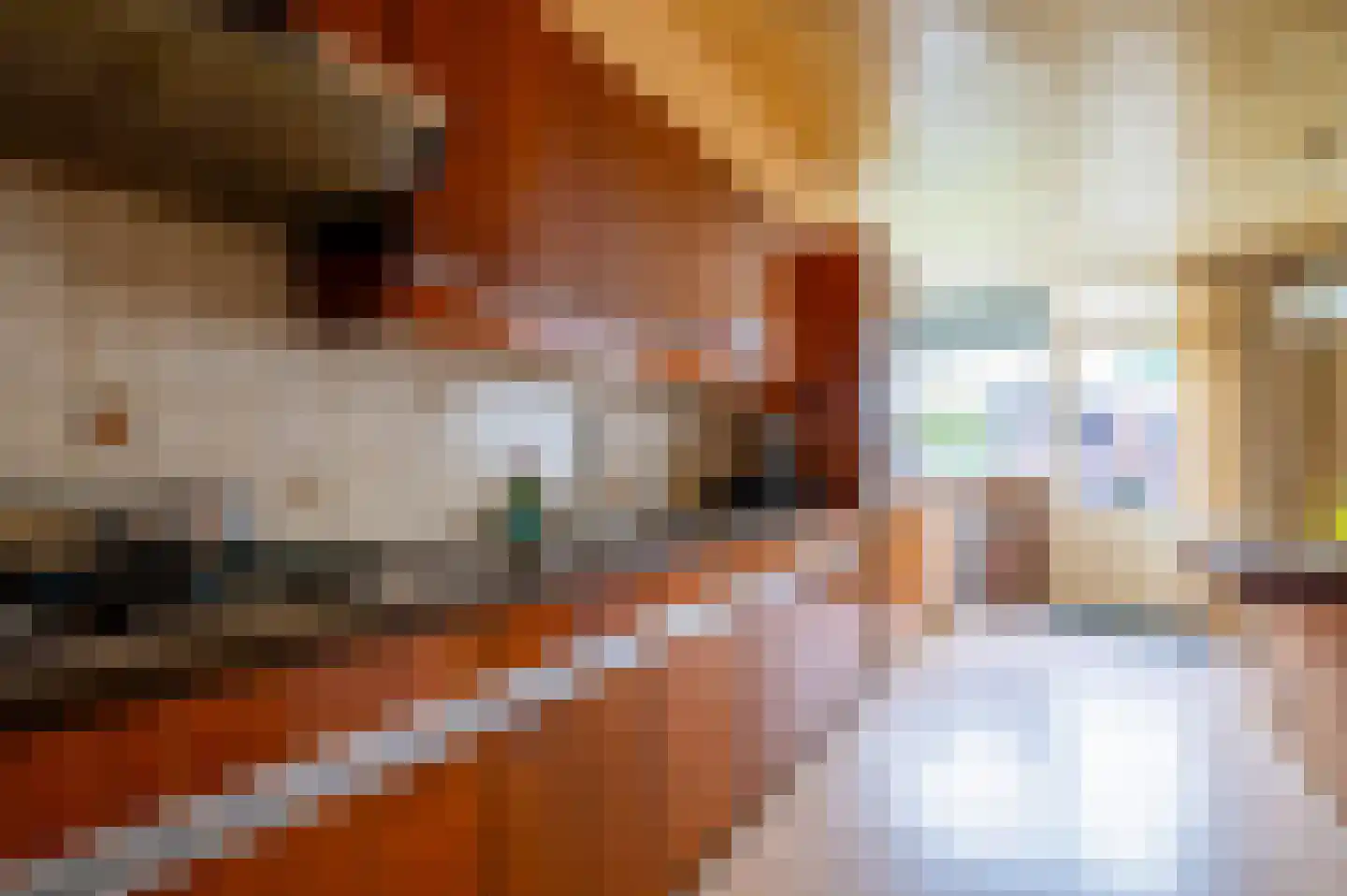 Pater van den Elsenstraat 12 Berkel-Enschot thumbnail 9