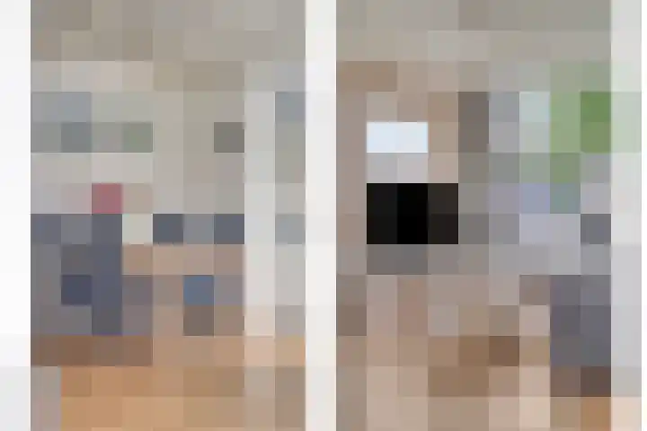 Pater van den Elsenstraat 46 Haarsteeg thumbnail 10
