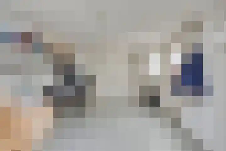 Pater van den Elsenstraat 46 Haarsteeg thumbnail 15