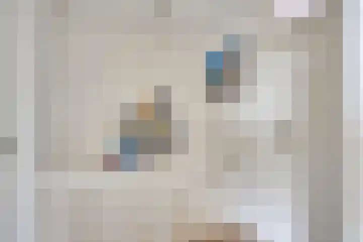 Pater van den Elsenstraat 46 Haarsteeg thumbnail 16