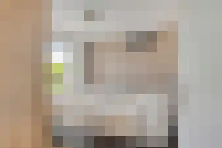 Pater van den Elsenstraat 46 Haarsteeg thumbnail 17