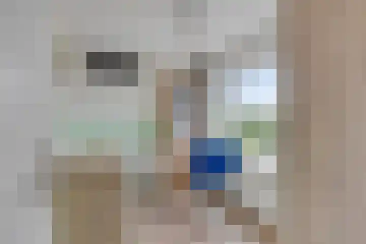 Pater van den Elsenstraat 46 Haarsteeg thumbnail 20