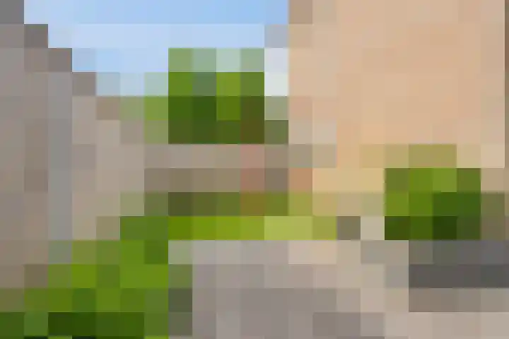 Pater van den Elsenstraat 46 Haarsteeg thumbnail 26
