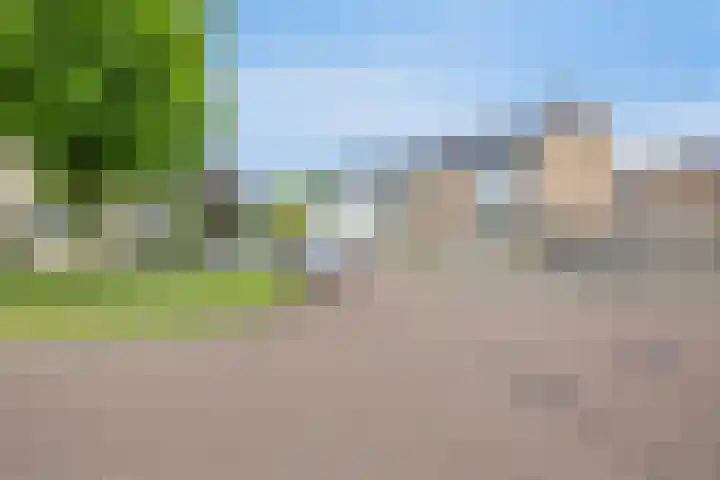 Pater van den Elsenstraat 46 Haarsteeg thumbnail 29