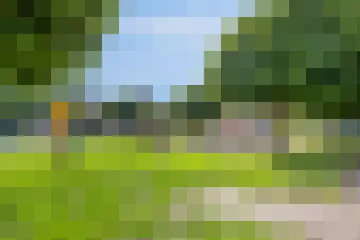Pater van den Elsenstraat 46 Haarsteeg thumbnail 30