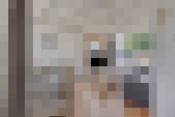 Pater van den Elsenstraat 46 Haarsteeg thumbnail 8
