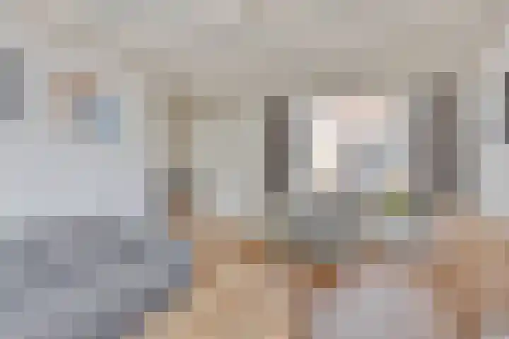 Pater van den Elsenstraat 46 Haarsteeg thumbnail 9