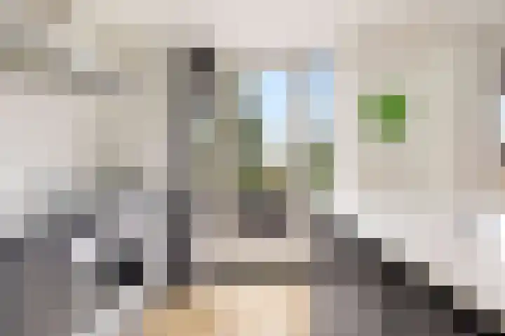 Pater van den Elsenstraat 6 A 's-Hertogenbosch thumbnail 17