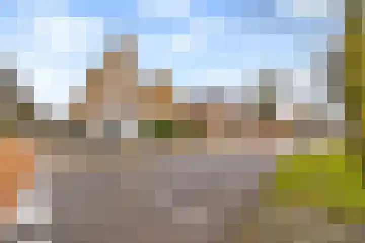 Pater van den Elsenstraat 6 A 's-Hertogenbosch thumbnail 32