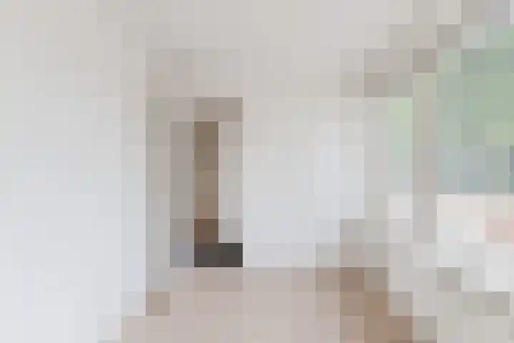 Pater van den Elsenstraat 6 Berkel-Enschot thumbnail 10