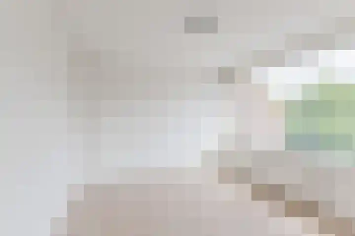 Pater van den Elsenstraat 6 Berkel-Enschot thumbnail 11