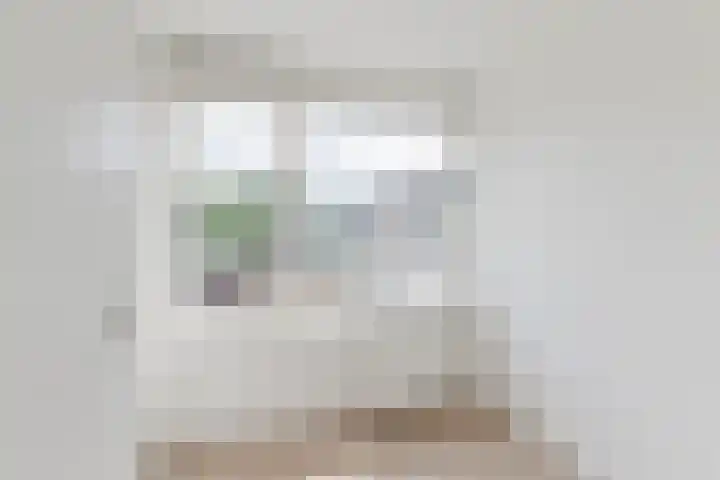 Pater van den Elsenstraat 6 Berkel-Enschot thumbnail 13