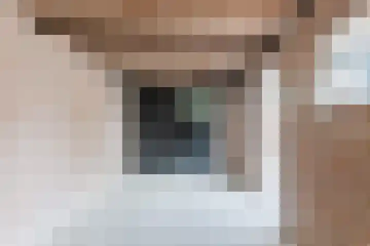 Pater van den Elsenstraat 6 Berkel-Enschot thumbnail 19