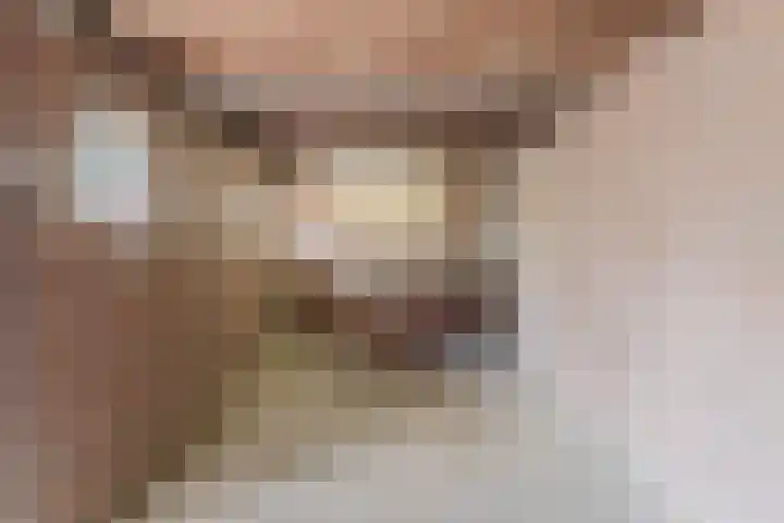 Pater van den Elsenstraat 6 Berkel-Enschot thumbnail 20