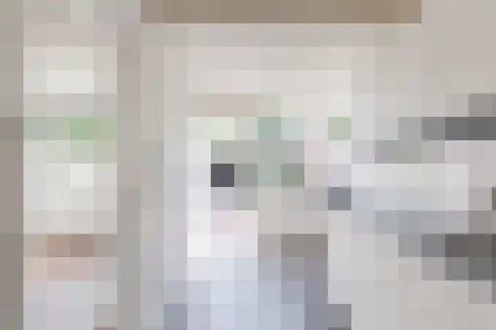 Pater van den Elsenstraat 6 Berkel-Enschot thumbnail 4