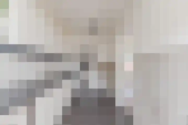 Pater van den Elsenstraat 6 Berkel-Enschot thumbnail 5