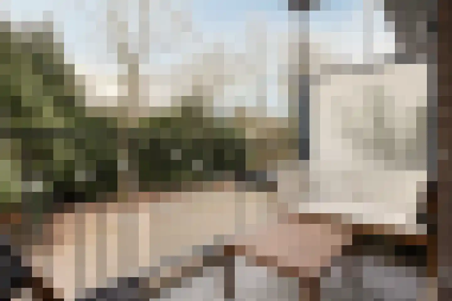 Pater van den Elsenstraat 6 's-Hertogenbosch thumbnail 14