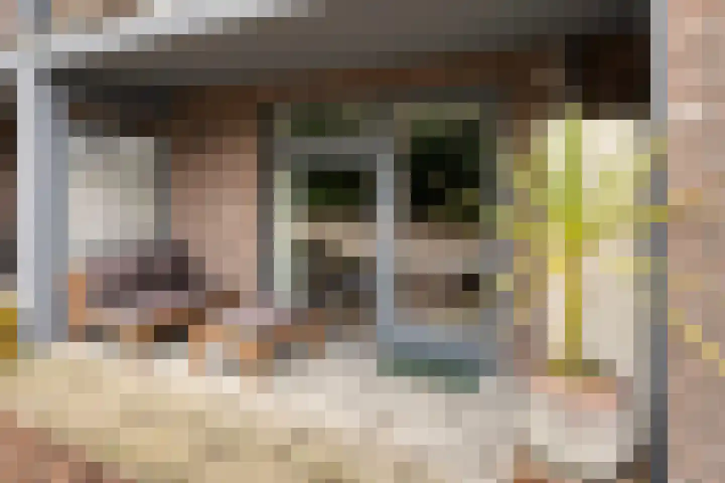 Pater van den Elsenstraat 6 's-Hertogenbosch thumbnail 20