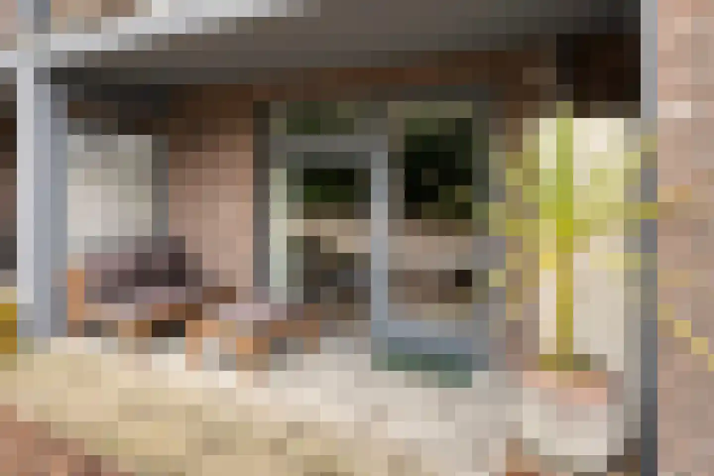 Pater van den Elsenstraat 6 's-Hertogenbosch thumbnail 20