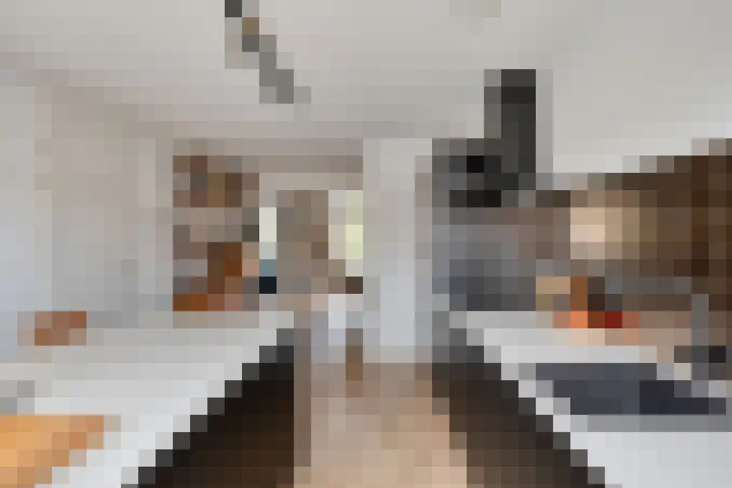 Pater van den Elsenstraat 6 's-Hertogenbosch thumbnail 5