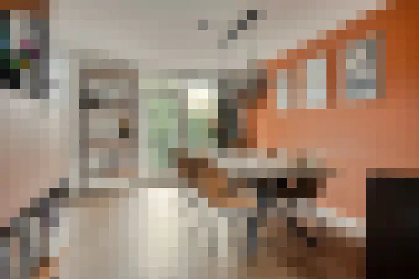 Pater van den Elsenstraat 6 's-Hertogenbosch thumbnail 9