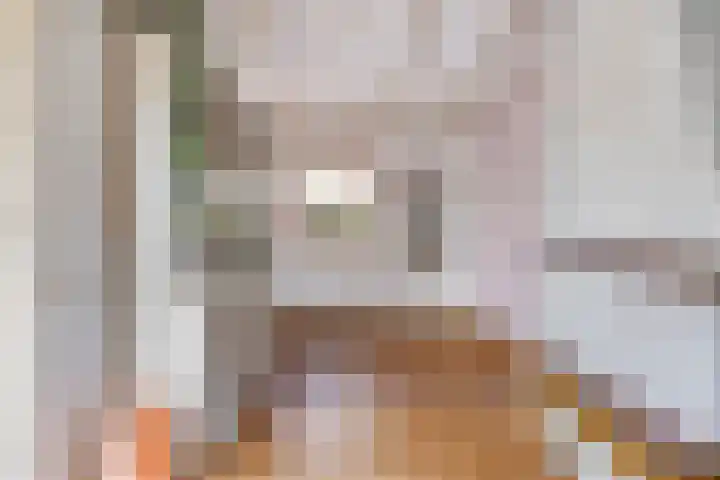Pater van den Elsenstraat 60 Haarsteeg thumbnail 11