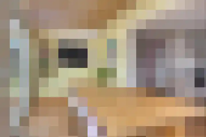 Pater van den Elsenstraat 60 Haarsteeg thumbnail 12