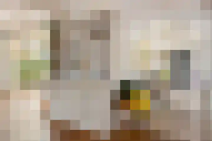Pater van den Elsenstraat 60 Haarsteeg thumbnail 13
