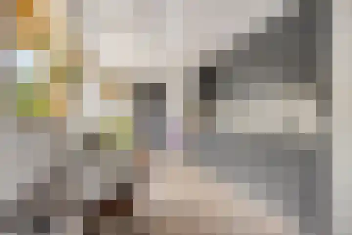 Pater van den Elsenstraat 60 Haarsteeg thumbnail 14