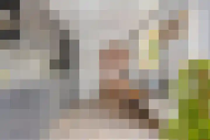 Pater van den Elsenstraat 60 Haarsteeg thumbnail 15