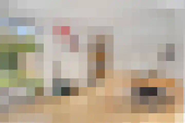 Pater van den Elsenstraat 60 Haarsteeg thumbnail 17