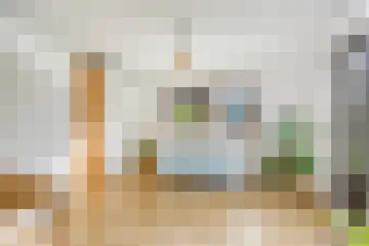 Pater van den Elsenstraat 60 Haarsteeg thumbnail 18