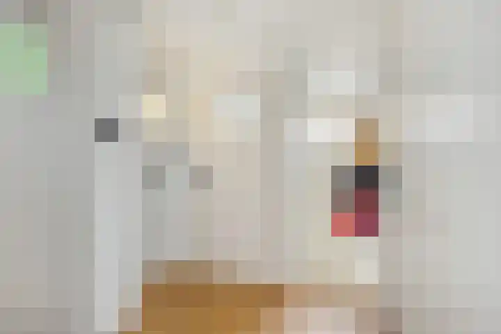 Pater van den Elsenstraat 60 Haarsteeg thumbnail 19