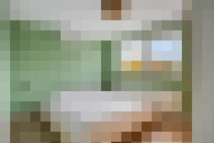 Pater van den Elsenstraat 60 Haarsteeg thumbnail 21