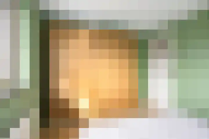 Pater van den Elsenstraat 60 Haarsteeg thumbnail 22