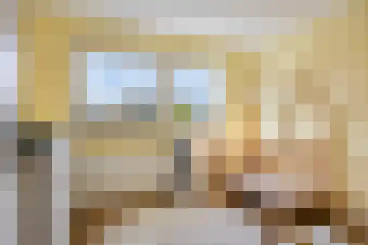 Pater van den Elsenstraat 60 Haarsteeg thumbnail 26