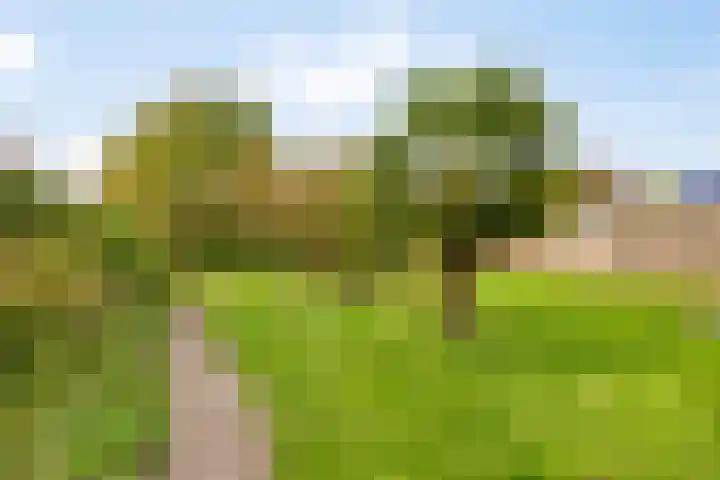 Pater van den Elsenstraat 60 Haarsteeg thumbnail 27