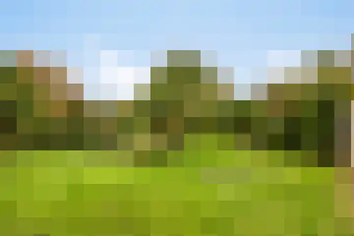 Pater van den Elsenstraat 60 Haarsteeg thumbnail 28
