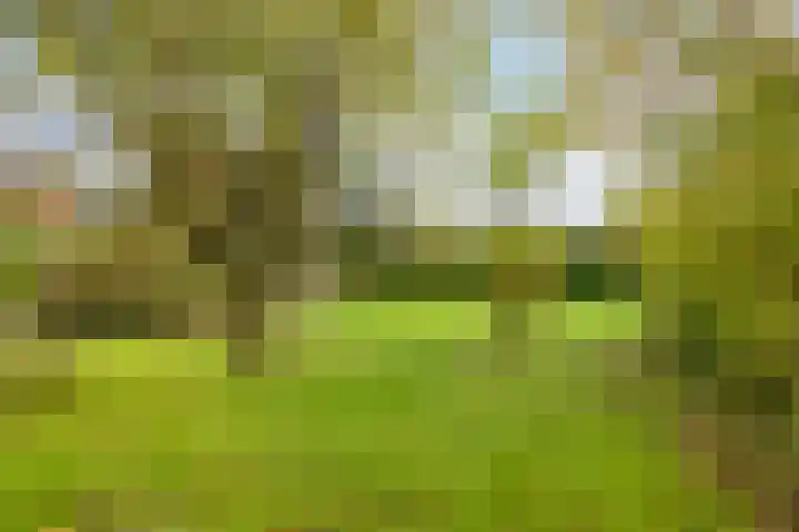 Pater van den Elsenstraat 60 Haarsteeg thumbnail 30