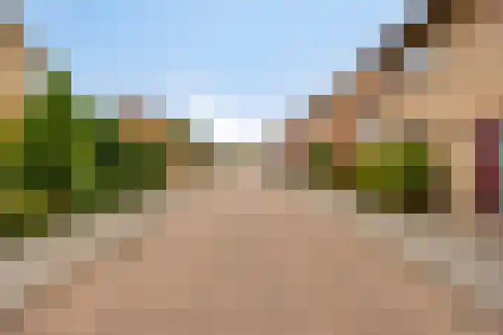 Pater van den Elsenstraat 60 Haarsteeg thumbnail 33