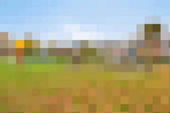 Pater van den Elsenstraat 60 Haarsteeg thumbnail 34