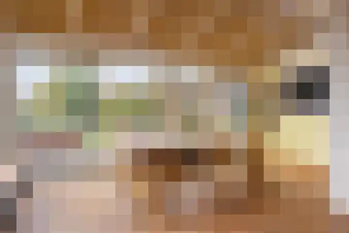 Pater van den Elsenstraat 60 Haarsteeg thumbnail 4