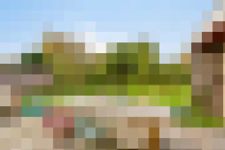 Pater van den Elsenstraat 60 Haarsteeg thumbnail 5