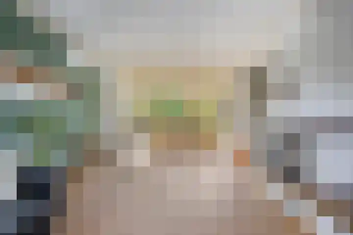 Pater van den Elsenstraat 60 Haarsteeg thumbnail 8