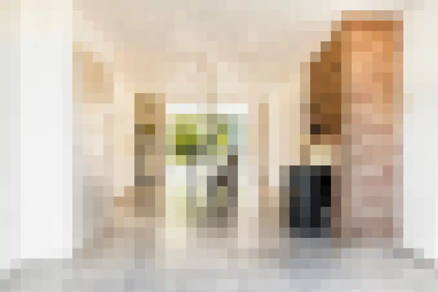Pater van den Elsenstraat 61 Gemert thumbnail 11