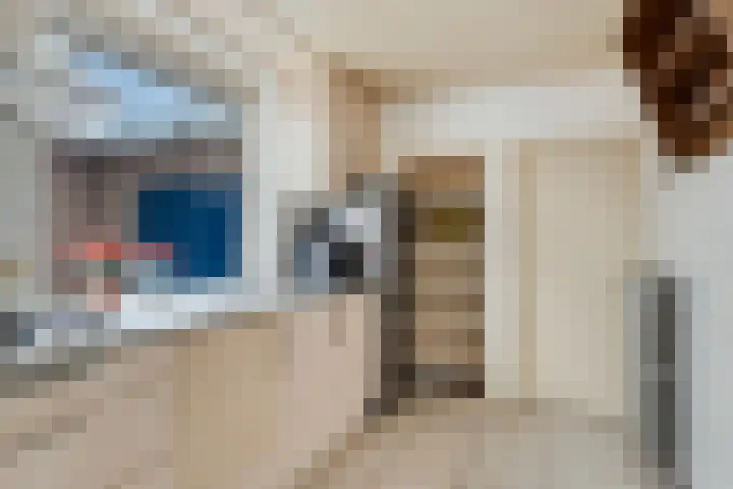 Pater van den Elsenstraat 61 Gemert thumbnail 17