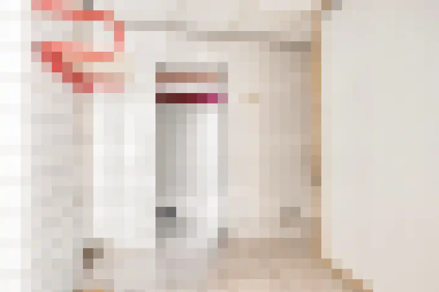 Pater van den Elsenstraat 61 Gemert thumbnail 19