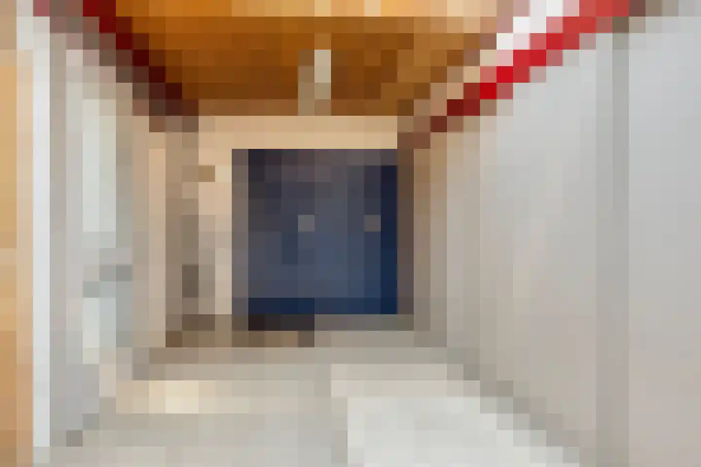Pater van den Elsenstraat 61 Gemert thumbnail 22