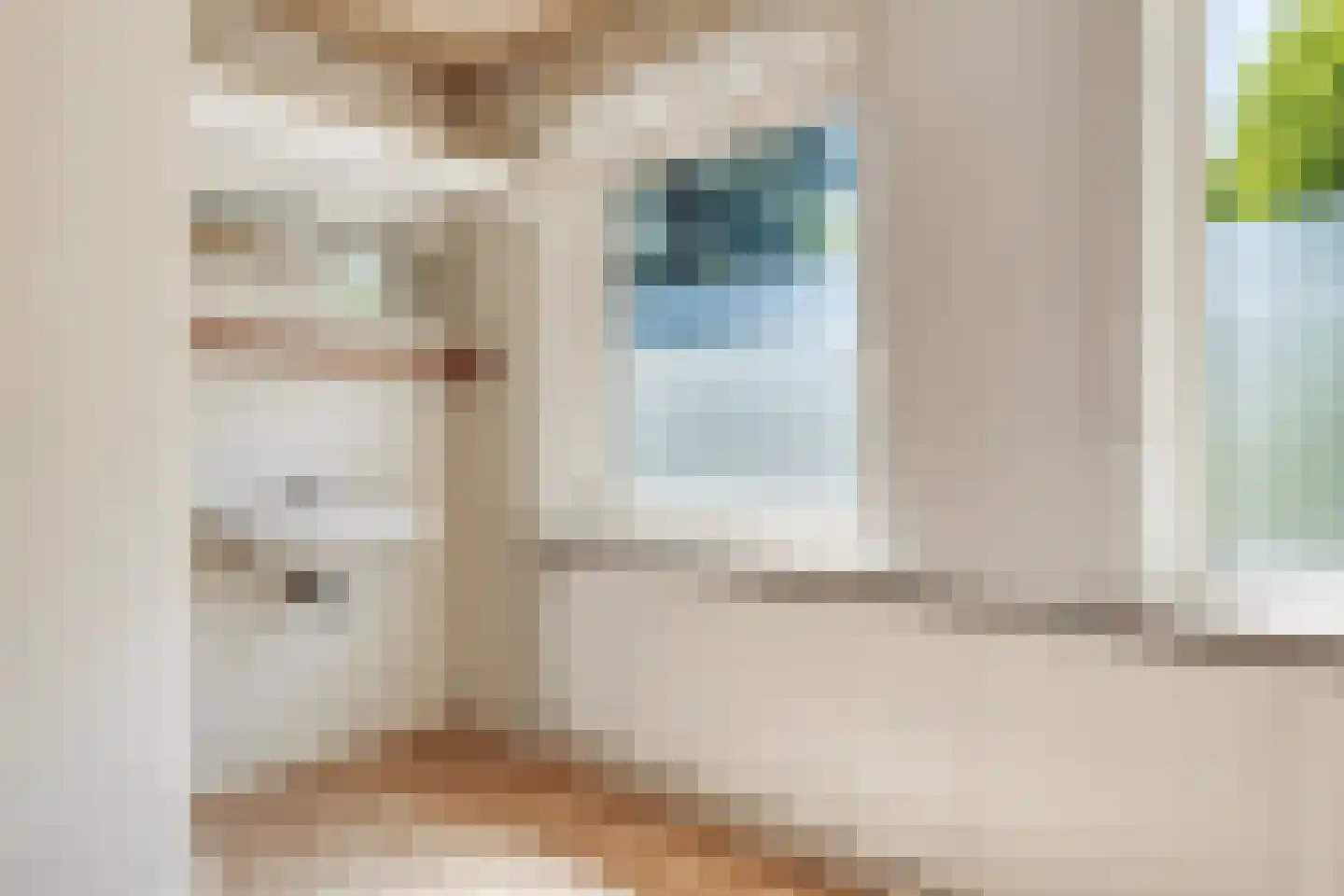 Pater van den Elsenstraat 61 Gemert thumbnail 27